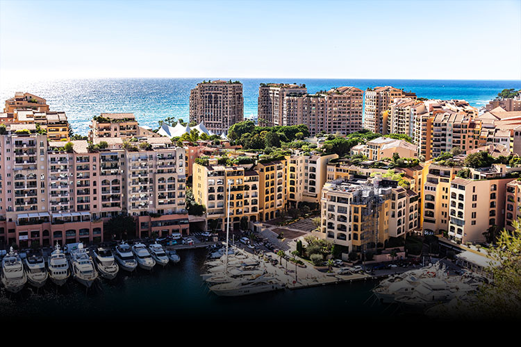 dp limusines service montecarlo