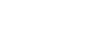 DP Limousine Service